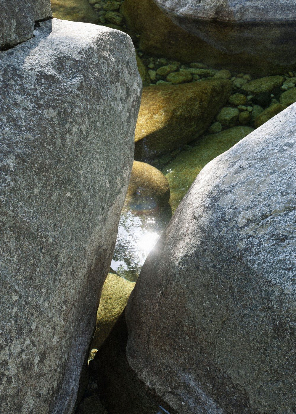 Image of Corsica