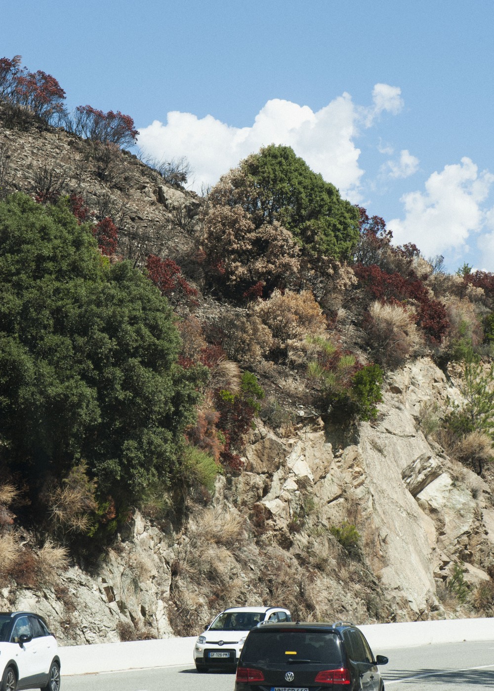 Image of Corsica